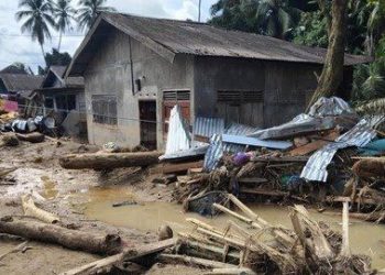 Korban Tewas Banjir Sumatera: 217 di Sumut, 96 di Aceh, 129 di Sumbar